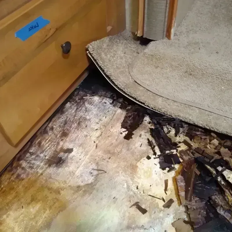 Best Wood Floor Water Damage Service in Loup City, NE